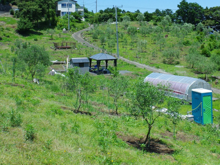 まなづるオリーブガーデンの風景